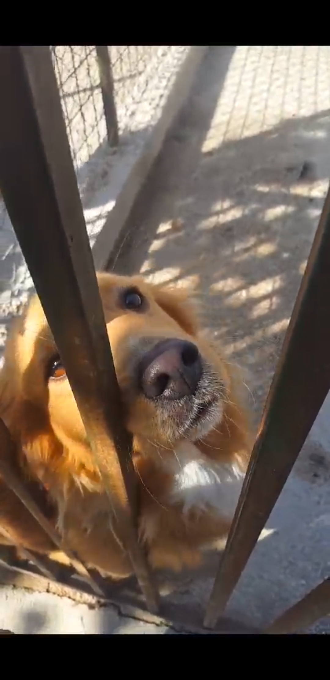 Libero Taglia Medio Contenuta 